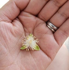 Meet your Posher, Marisa